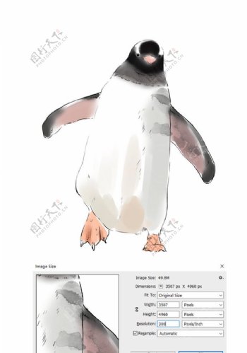 企鹅水彩