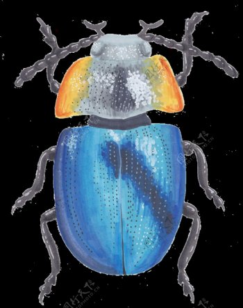 手绘荧光蓝甲虫png透明素材