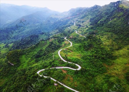 越南山森林道路