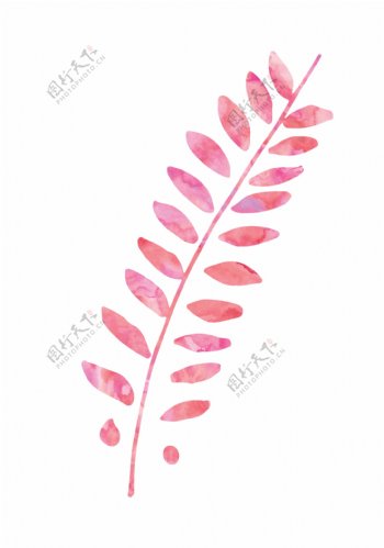 粉色植物卡通透明素材