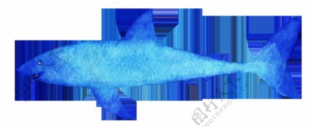 冰蓝鲨鱼卡通透明素材