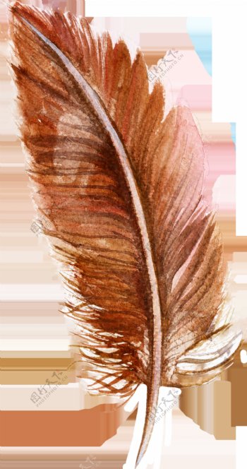 棕色羽毛卡通透明素材