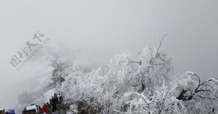 西岭雪山