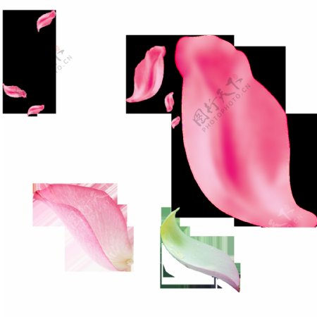 唯美飘落粉色花瓣透明素材