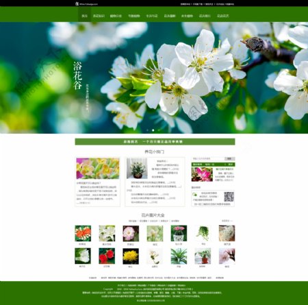 花草类首页网页设计网站设计网页排版