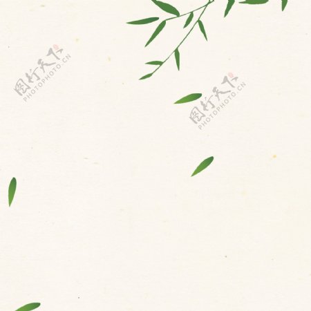 绿色漂浮柳树柳叶