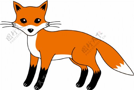 手绘卡通橙色狐狸免抠png透明素材