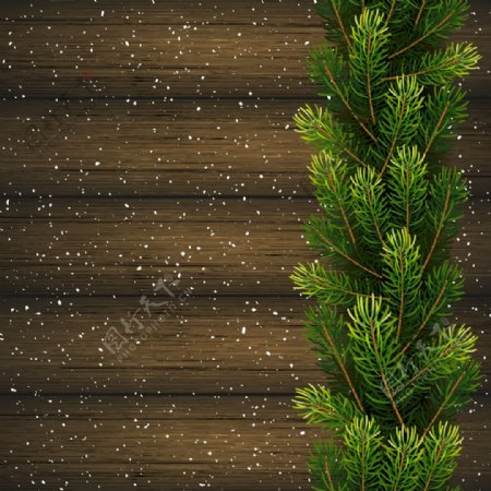 冷杉枝与圣诞木背景