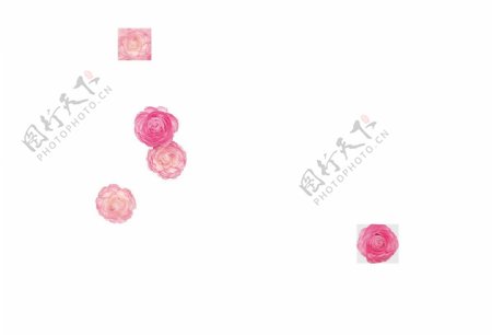 水墨粉色花朵元素