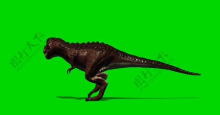 恐龙绿屏抠像视频素材