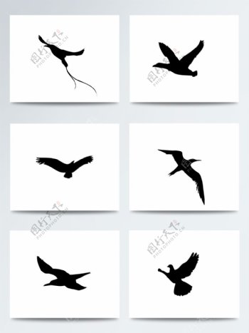 世界湿地日卡通黑色飞鸟PNG元素
