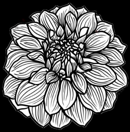 简约黑色手绘菊花装饰元素