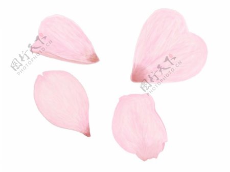 粉色花瓣素材手绘花瓣