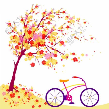 自行车彩色树图片