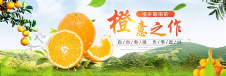 脐橙水果淘宝海报banner