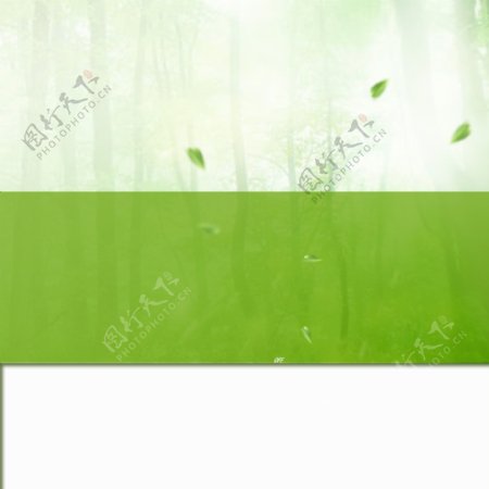 绿色叶子淘宝主图背景