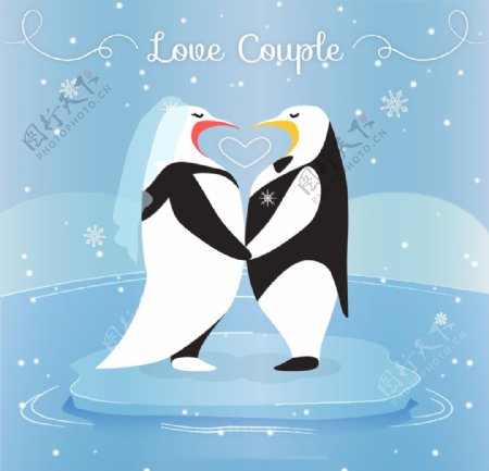 情人节企鹅插图