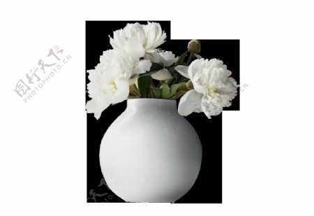 白色陶瓷花瓶png元素