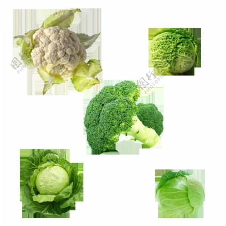 绿色有机蔬菜元素