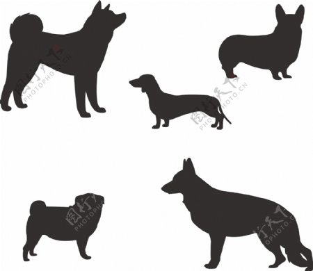 宠物狗卡通黑色狗的剪影
