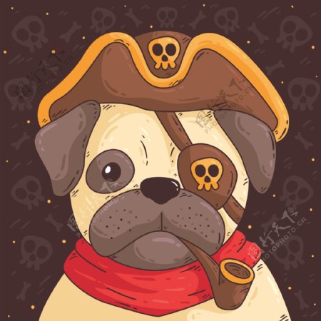 穿着海盗服装的可爱哈巴狗