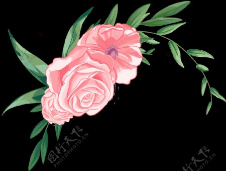 浪漫粉色玫瑰花PNG透明素材