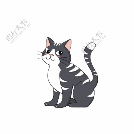 傲娇小黑猫动物设计