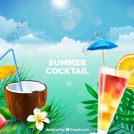 精美夏季鸡尾酒和椰汁矢量图