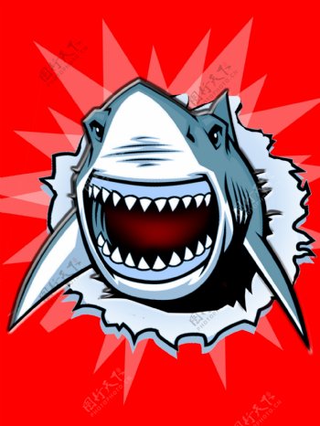 卡通手绘红色背景鲨鱼素材