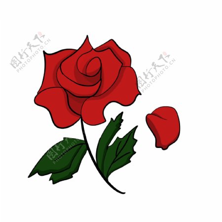 手绘红色简单玫瑰花