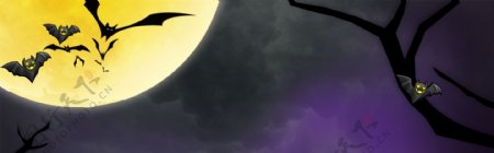 蝙蝠万圣节鬼怪巫师banner背景