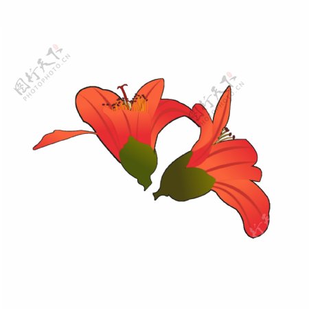 手绘木棉花元素之卡通红色植物花