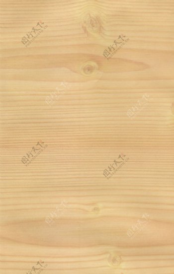 杉木木纹