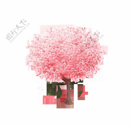 红色樱花树木装饰素材