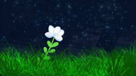 星空下的草地鲜花背景素材