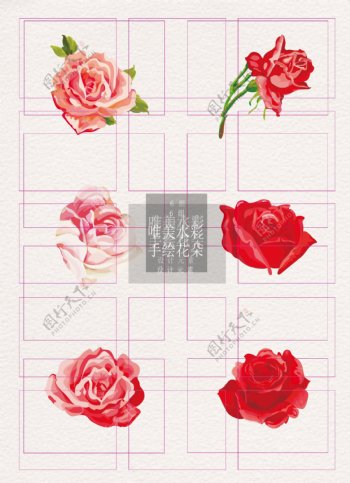 花和花瓣玫瑰粉色红色ai矢量元素
