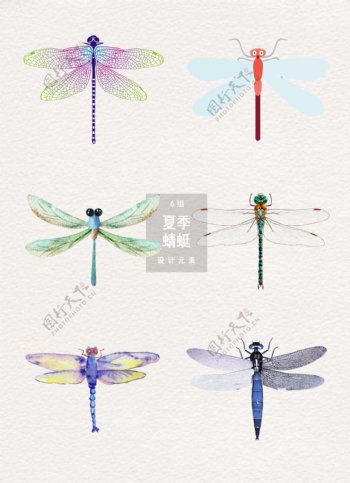 夏季蜻蜓装饰素材设计