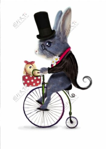 骑自行车的兔子