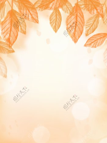 原创手绘秋季金黄色树叶秋叶光斑背景