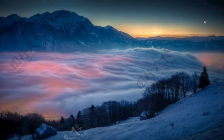 高山山峰雪山森林树林