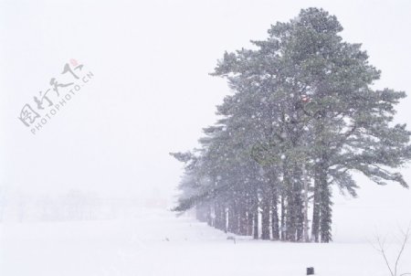 冰天雪地自然风景