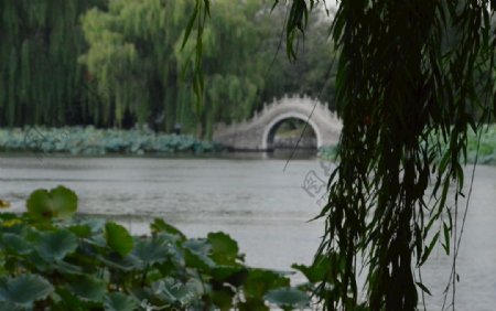 阴雨圆明园