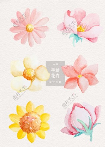 小清新水彩手绘花卉