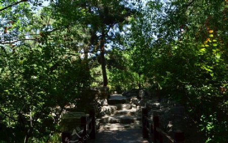 植物园风景