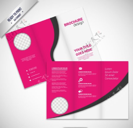 粉红色的宣传册设计