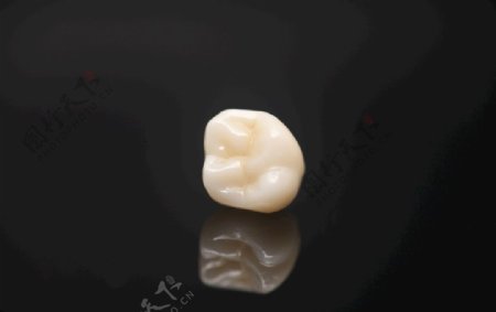 义齿假牙烤瓷牙氧化锆烤瓷