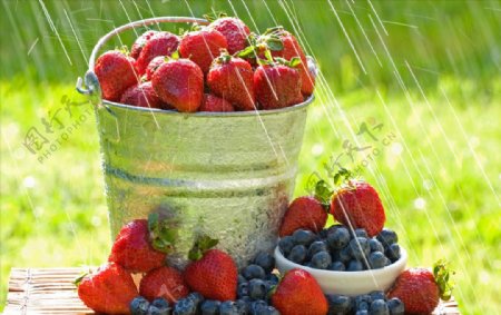 草莓蓝莓水桶食物