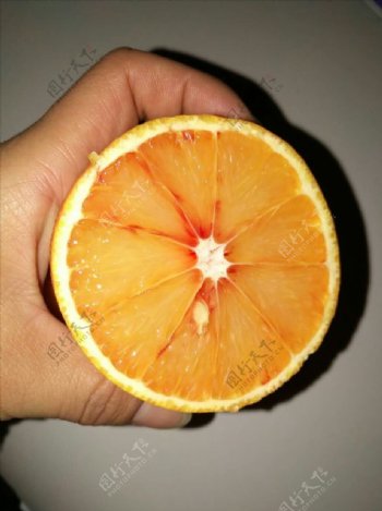 血橙血橙子塔罗科血橙手持