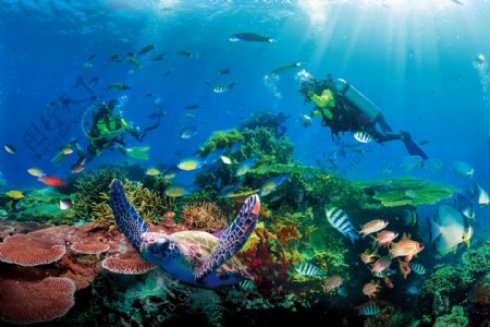 海洋世界珊瑚礁潜水员