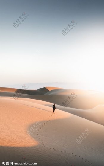 大漠风景
